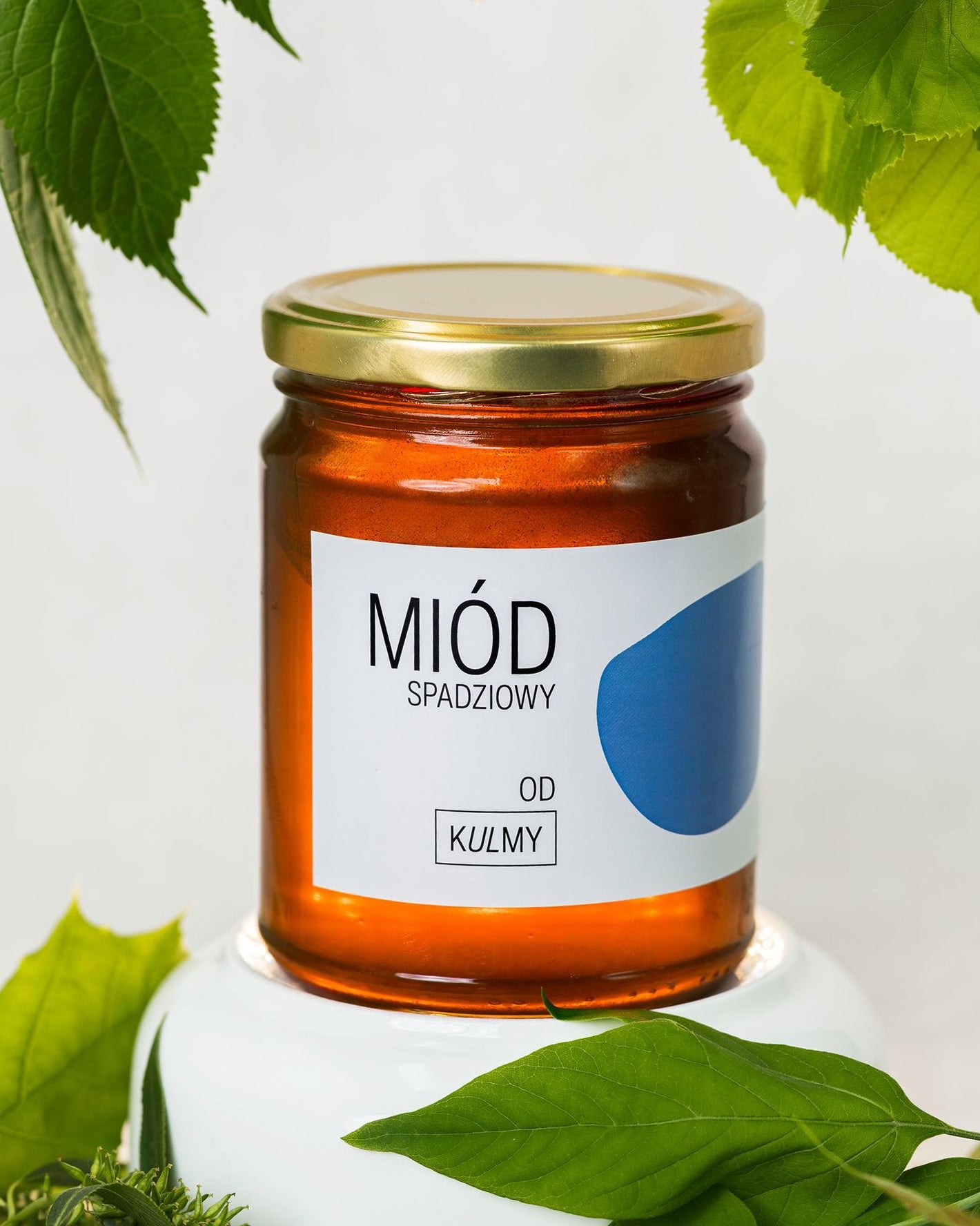 MIÓD SPADZIOWY – ŚWIEŻY